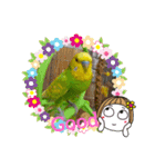 Pi-＆Peko 幸せの黄色い鳥と花（個別スタンプ：14）