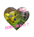 Pi-＆Peko 幸せの黄色い鳥と花（個別スタンプ：15）