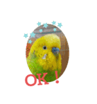 Pi-＆Peko 幸せの黄色い鳥と花（個別スタンプ：17）