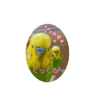 Pi-＆Peko 幸せの黄色い鳥と花（個別スタンプ：26）