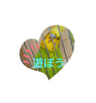 Pi-＆Peko 幸せの黄色い鳥と花（個別スタンプ：27）