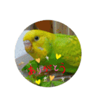 Pi-＆Peko 幸せの黄色い鳥と花（個別スタンプ：28）