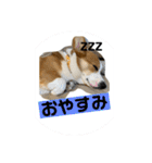 キースのスタンプ2（個別スタンプ：2）