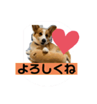 キースのスタンプ2（個別スタンプ：5）
