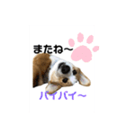 キースのスタンプ2（個別スタンプ：8）