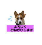 キースのスタンプ2（個別スタンプ：9）