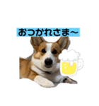 キースのスタンプ2（個別スタンプ：11）