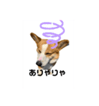 キースのスタンプ2（個別スタンプ：19）