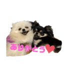 メルマロクゥタ（個別スタンプ：1）