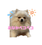 メルマロクゥタ（個別スタンプ：7）