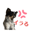 メルマロクゥタ（個別スタンプ：13）
