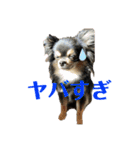 メルマロクゥタ（個別スタンプ：19）