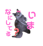 ココ様の日常part①（個別スタンプ：1）