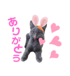 ココ様の日常part①（個別スタンプ：6）