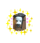 フックスタンプ（個別スタンプ：8）