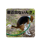 うりだよ。（個別スタンプ：6）