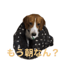 うりだよ。（個別スタンプ：7）