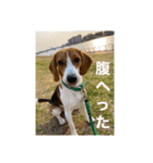 うりだよ。（個別スタンプ：11）