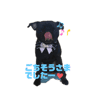 黒パグの寅音さん♡（個別スタンプ：2）
