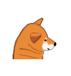 柴犬 フェイス（個別スタンプ：2）