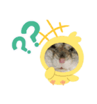ハムスターの男子くん（個別スタンプ：10）