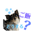 大好きクウタ（個別スタンプ：2）
