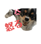 大好きクウタ（個別スタンプ：5）