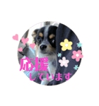 大好きクウタ（個別スタンプ：10）