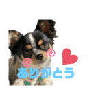 大好きクウタ（個別スタンプ：11）