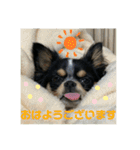 大好きクウタ（個別スタンプ：12）