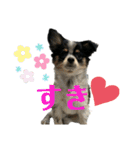 大好きクウタ（個別スタンプ：13）