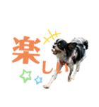 大好きクウタ（個別スタンプ：14）