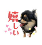大好きクウタ（個別スタンプ：20）