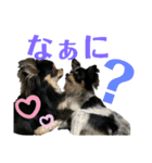 大好きクウタ（個別スタンプ：21）