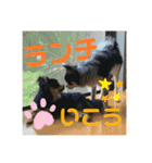 大好きクウタ（個別スタンプ：22）