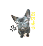 すあすあ（個別スタンプ：1）