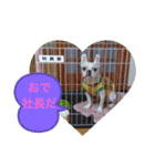 ぺたおは色白さん。（個別スタンプ：2）