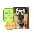 ぺたおは色白さん。（個別スタンプ：3）