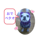 ぺたおは色白さん。（個別スタンプ：4）