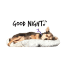 アルシリーズ（個別スタンプ：3）