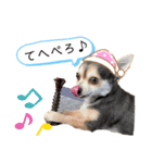 アルシリーズ（個別スタンプ：8）