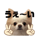 あもる♡1（個別スタンプ：3）