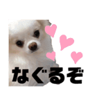 あもる♡1（個別スタンプ：4）