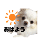 あもる♡1（個別スタンプ：6）