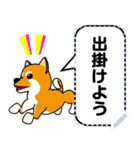 柴犬 小茶々のメッセージスタンプ（個別スタンプ：4）