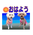 お友達の挨拶スタンプ（個別スタンプ：1）