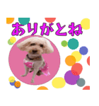 お友達の挨拶スタンプ（個別スタンプ：4）