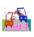 お友達の挨拶スタンプ（個別スタンプ：6）