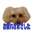 お友達の挨拶スタンプ（個別スタンプ：8）
