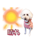 お友達の挨拶スタンプ（個別スタンプ：11）